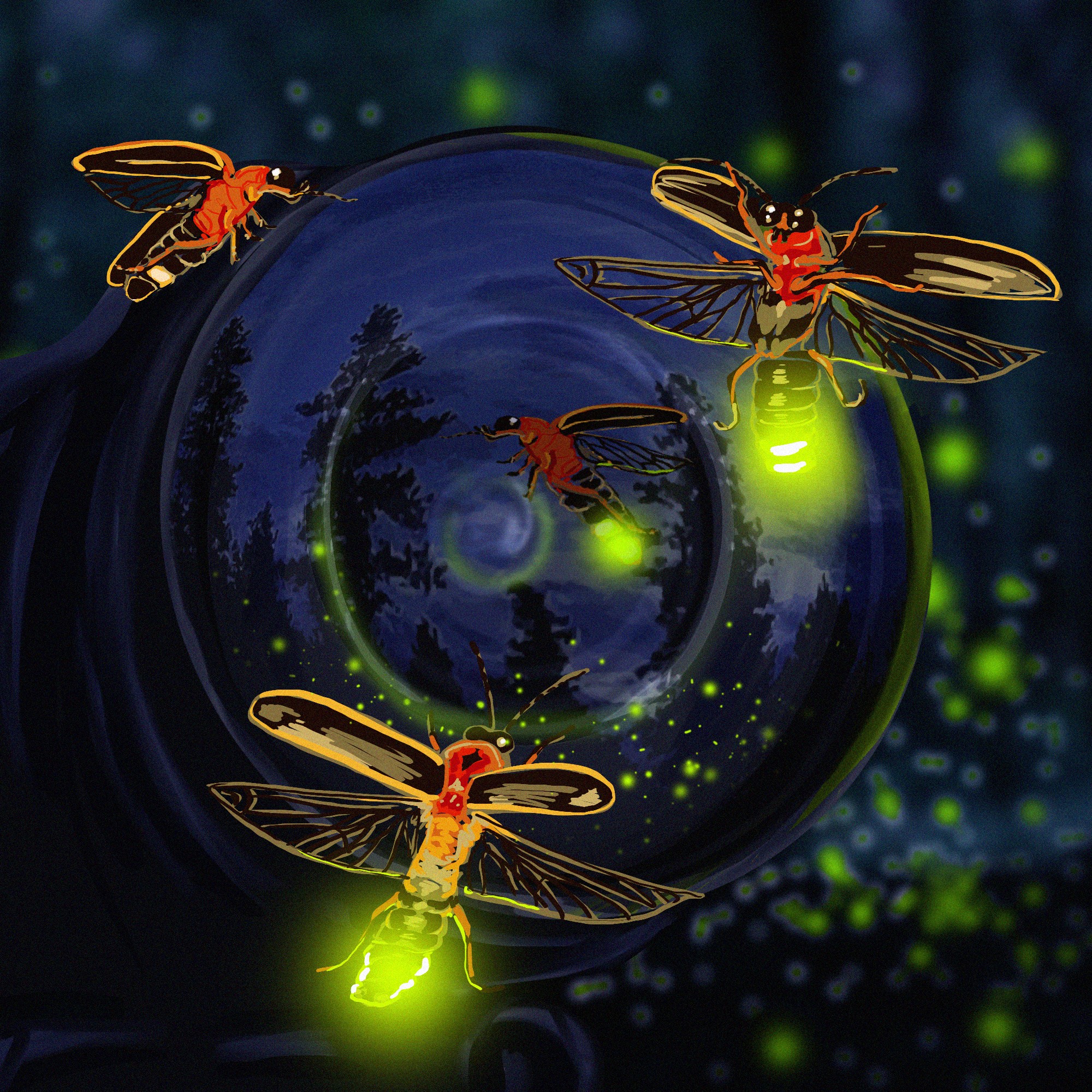 Some fireflies can flash in unison, and scientists are trying to figure out  how