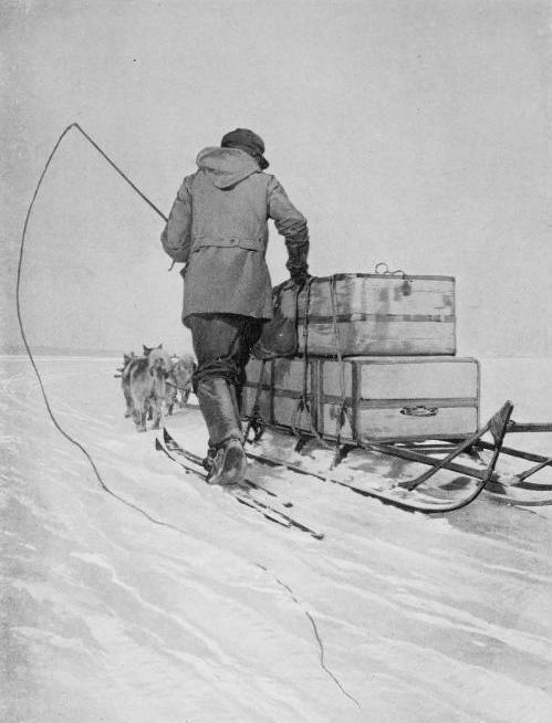 A photograph of a dog team, sledge and a member of Roald Amundsen's South Pole expedition of 1910-12.  Credit: Roald Amundsen; public domain.