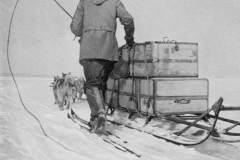 A photograph of a dog team, sledge and a member of Roald Amundsen's South Pole expedition of 1910-12.  Credit: Roald Amundsen; public domain.